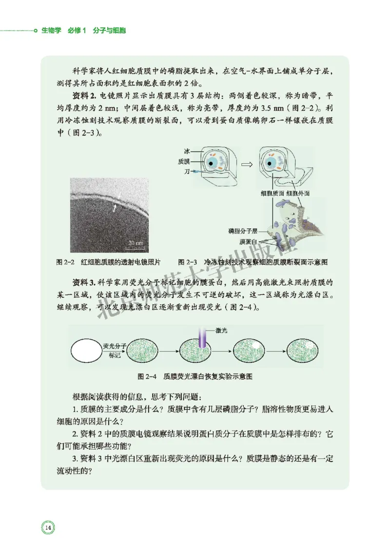 北师大生物必修1高清教材_4-教培资料-26年最新资料-同步更新_初中高中教资_03科三专项（进去保存报考的学科即可）_02科三专项（笔记真题思维导图教学设计版本二）