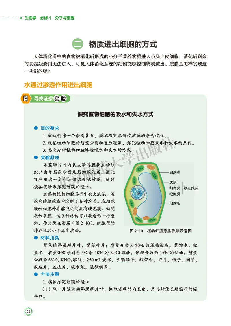 北师大生物必修1高清教材_4-教培资料-26年最新资料-同步更新_初中高中教资_03科三专项（进去保存报考的学科即可）_02科三专项（笔记真题思维导图教学设计版本二）