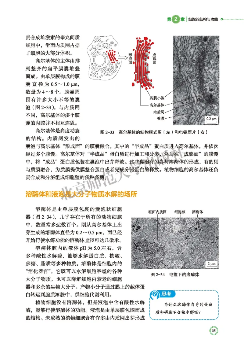 北师大生物必修1高清教材_4-教培资料-26年最新资料-同步更新_初中高中教资_03科三专项（进去保存报考的学科即可）_02科三专项（笔记真题思维导图教学设计版本二）
