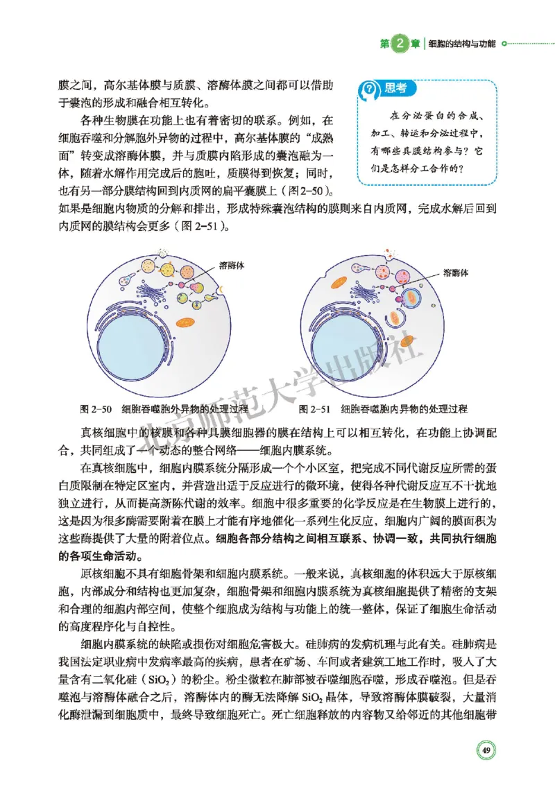 北师大生物必修1高清教材_4-教培资料-26年最新资料-同步更新_初中高中教资_03科三专项（进去保存报考的学科即可）_02科三专项（笔记真题思维导图教学设计版本二）