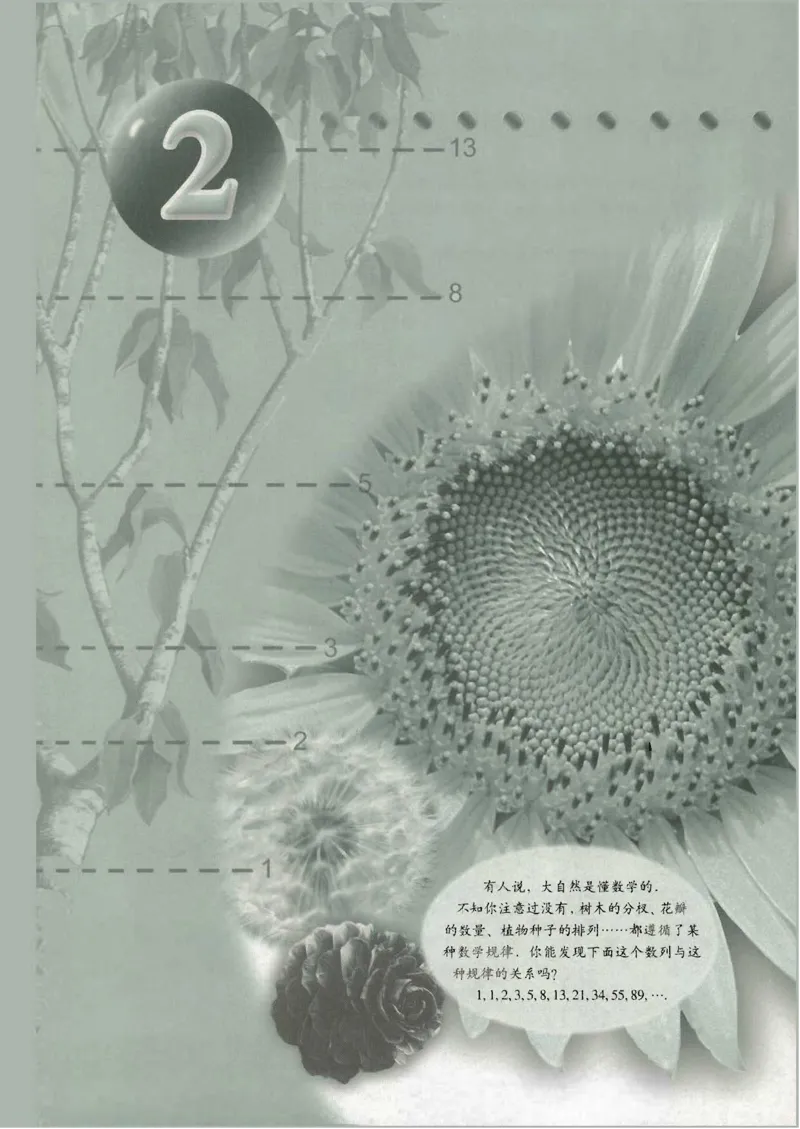 人教版高中数学必修5_4-教培资料-26年最新资料-同步更新_初中高中教资_03科三专项（进去保存报考的学科即可）_02科三专项（笔记真题思维导图教学设计版本二）