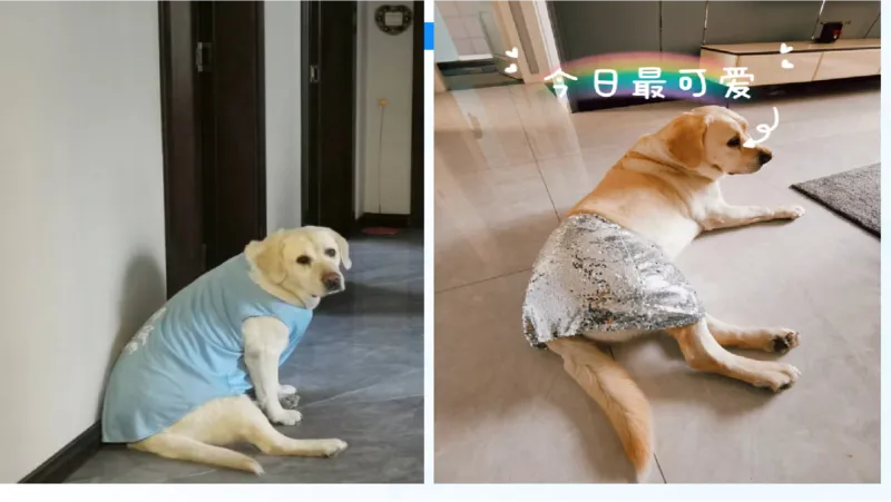 29.毛中特新思想考点精讲9_2026考公资料_（49）政治理论合集_政治理论合集_2025考研政治_09.粉笔_03.强化阶段_00.讲义