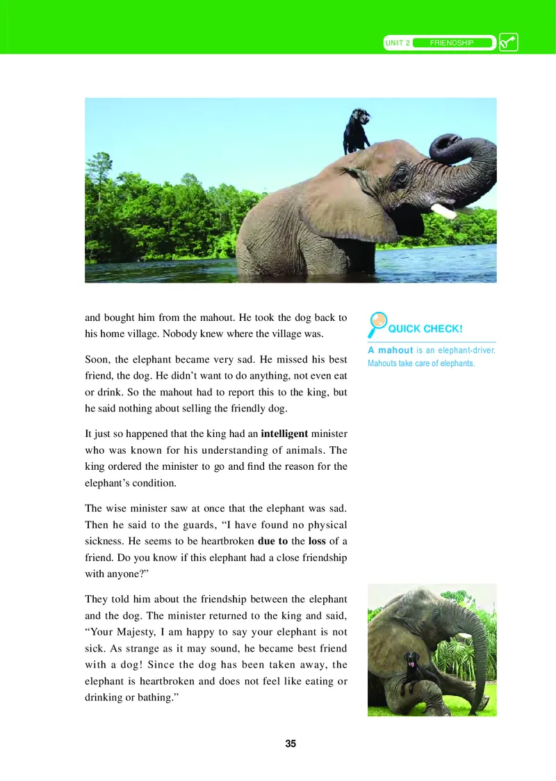 冀教版英语必修第一册高清教材_4-教培资料-26年最新资料-同步更新_初中高中教资_03科三专项（进去保存报考的学科即可）_02科三专项（笔记真题思维导图教学设计版本二）