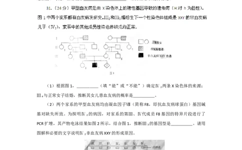 2012年高考生物试卷（安徽）（空白卷）_1.高考2025全国各省真题+答案_01.2008-2024全国高考真题（按省份分类）_1.安徽_2012-2024&middot;（安徽）生物高考真题