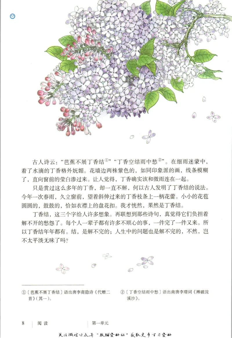 六年级上册语文五四制电子课本_4-教培资料-26年最新资料-同步更新_初中高中教资_03科三专项（进去保存报考的学科即可）_02科三专项（笔记真题思维导图教学设计版本二）