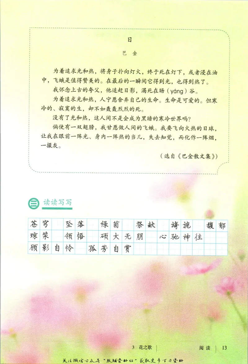 六年级上册语文五四制电子课本_4-教培资料-26年最新资料-同步更新_初中高中教资_03科三专项（进去保存报考的学科即可）_02科三专项（笔记真题思维导图教学设计版本二）