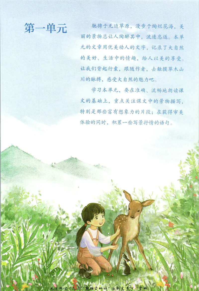 六年级上册语文五四制电子课本_4-教培资料-26年最新资料-同步更新_初中高中教资_03科三专项（进去保存报考的学科即可）_02科三专项（笔记真题思维导图教学设计版本二）