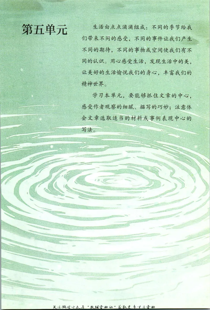 六年级上册语文五四制电子课本_4-教培资料-26年最新资料-同步更新_初中高中教资_03科三专项（进去保存报考的学科即可）_02科三专项（笔记真题思维导图教学设计版本二）