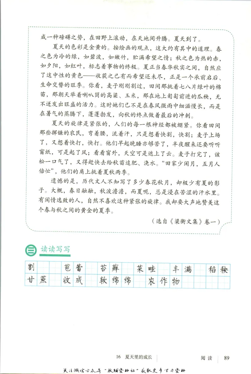 六年级上册语文五四制电子课本_4-教培资料-26年最新资料-同步更新_初中高中教资_03科三专项（进去保存报考的学科即可）_02科三专项（笔记真题思维导图教学设计版本二）