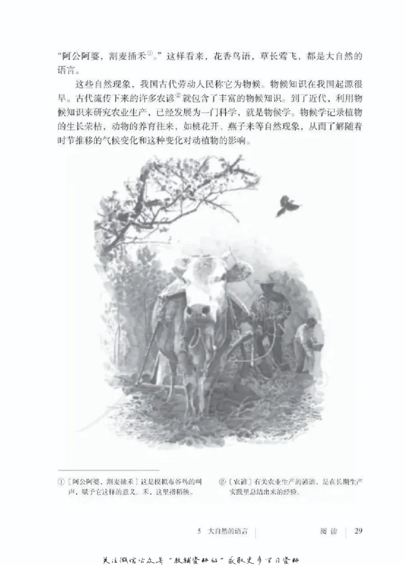 八年级下册语文五四制电子课本_4-教培资料-26年最新资料-同步更新_初中高中教资_03科三专项（进去保存报考的学科即可）_02科三专项（笔记真题思维导图教学设计版本二）