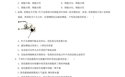 2019年四川省广安市中考生物试题（WORD版，含解析）_中考真题_8.生物中考真题2015-2024年_2019年全国中考生物92份