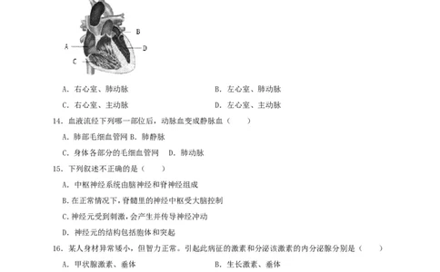 2019年四川省广安市中考生物试题（WORD版，含解析）_中考真题_8.生物中考真题2015-2024年_2019年全国中考生物92份