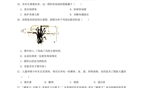 2019年四川省广安市中考生物试题（WORD版，含解析）_中考真题_8.生物中考真题2015-2024年_2019年全国中考生物92份