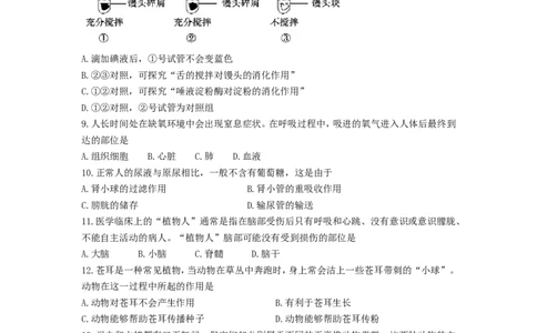 2017年聊城市中考生物试卷及答案_中考真题_8.生物中考真题2015-2024年_地区卷_山东省_山东聊城生物10-22