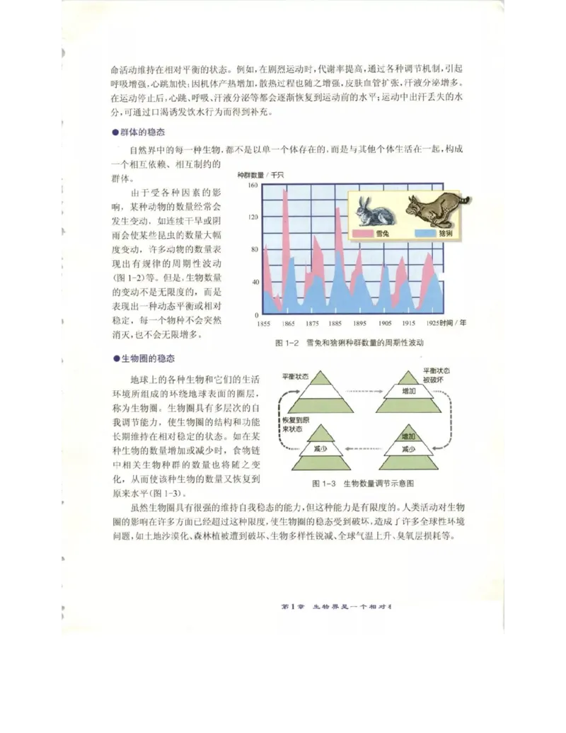 北师大版高中生物必修3电子课本_4-教培资料-26年最新资料-同步更新_初中高中教资_03科三专项（进去保存报考的学科即可）_02科三专项（笔记真题思维导图教学设计版本二）