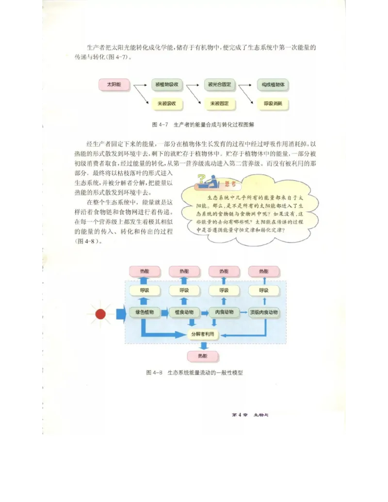 北师大版高中生物必修3电子课本_4-教培资料-26年最新资料-同步更新_初中高中教资_03科三专项（进去保存报考的学科即可）_02科三专项（笔记真题思维导图教学设计版本二）