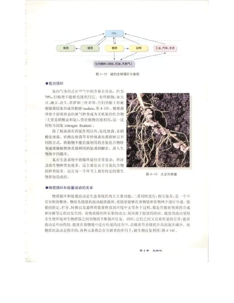 北师大版高中生物必修3电子课本_4-教培资料-26年最新资料-同步更新_初中高中教资_03科三专项（进去保存报考的学科即可）_02科三专项（笔记真题思维导图教学设计版本二）