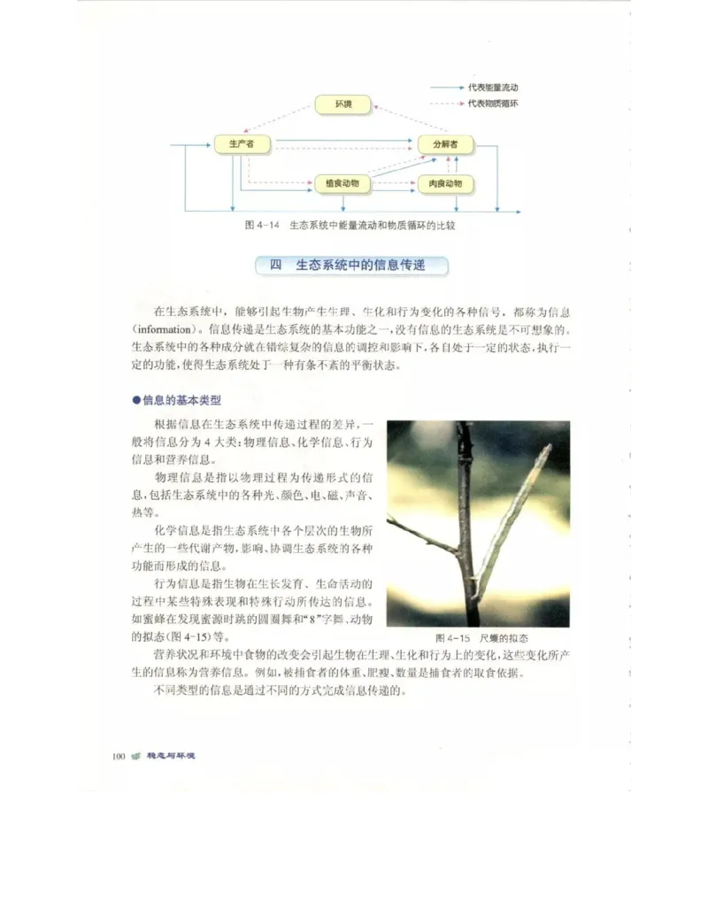 北师大版高中生物必修3电子课本_4-教培资料-26年最新资料-同步更新_初中高中教资_03科三专项（进去保存报考的学科即可）_02科三专项（笔记真题思维导图教学设计版本二）