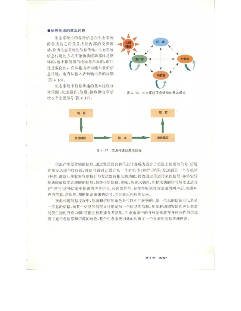 北师大版高中生物必修3电子课本_4-教培资料-26年最新资料-同步更新_初中高中教资_03科三专项（进去保存报考的学科即可）_02科三专项（笔记真题思维导图教学设计版本二）