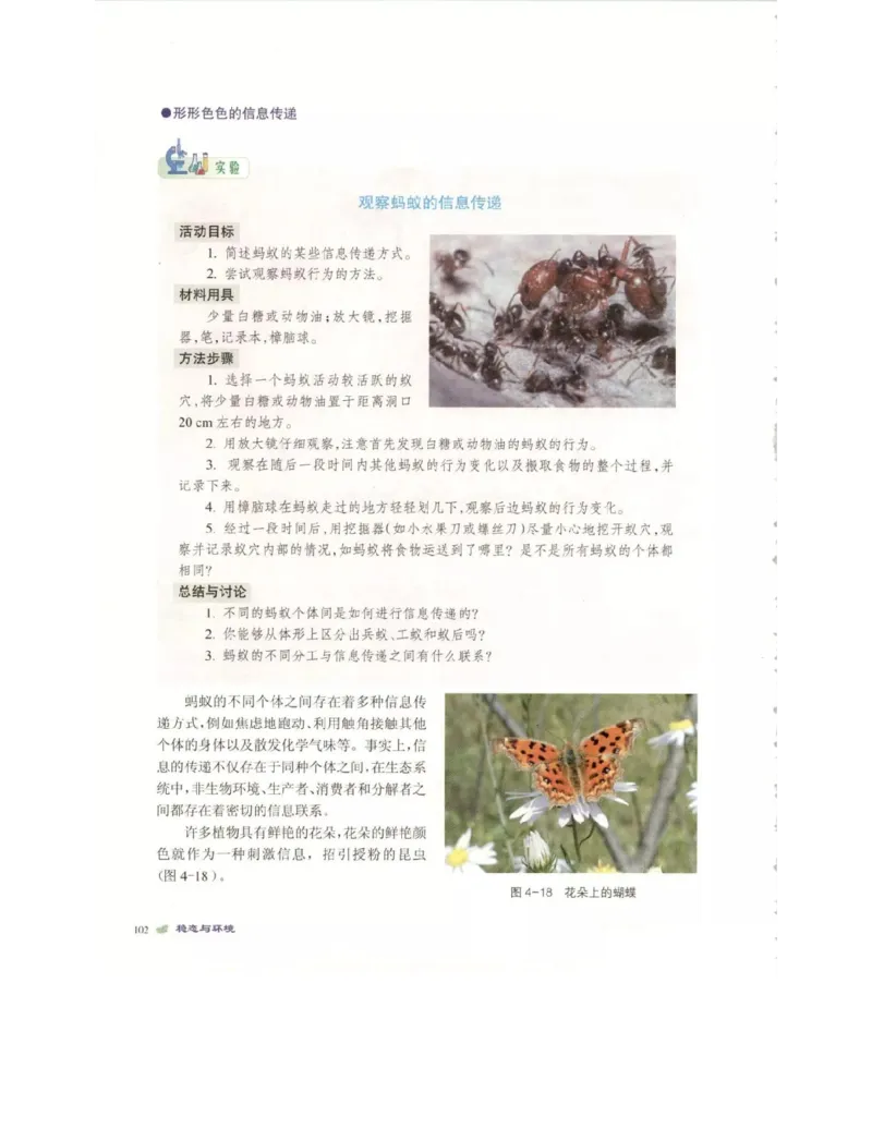 北师大版高中生物必修3电子课本_4-教培资料-26年最新资料-同步更新_初中高中教资_03科三专项（进去保存报考的学科即可）_02科三专项（笔记真题思维导图教学设计版本二）