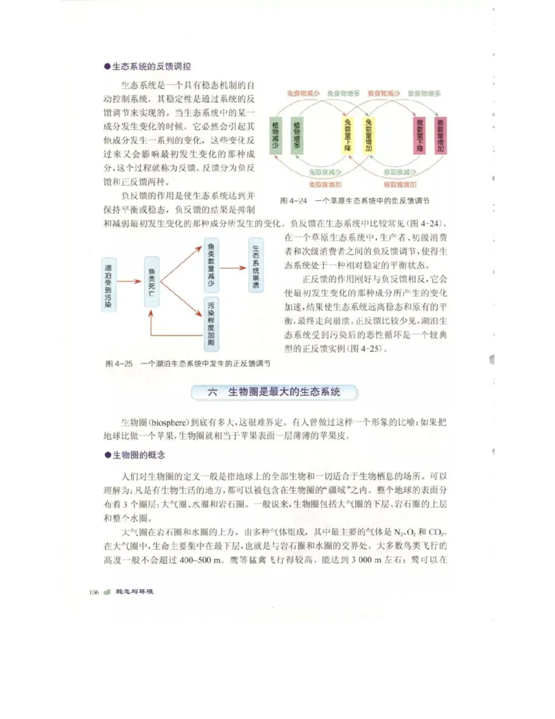 北师大版高中生物必修3电子课本_4-教培资料-26年最新资料-同步更新_初中高中教资_03科三专项（进去保存报考的学科即可）_02科三专项（笔记真题思维导图教学设计版本二）