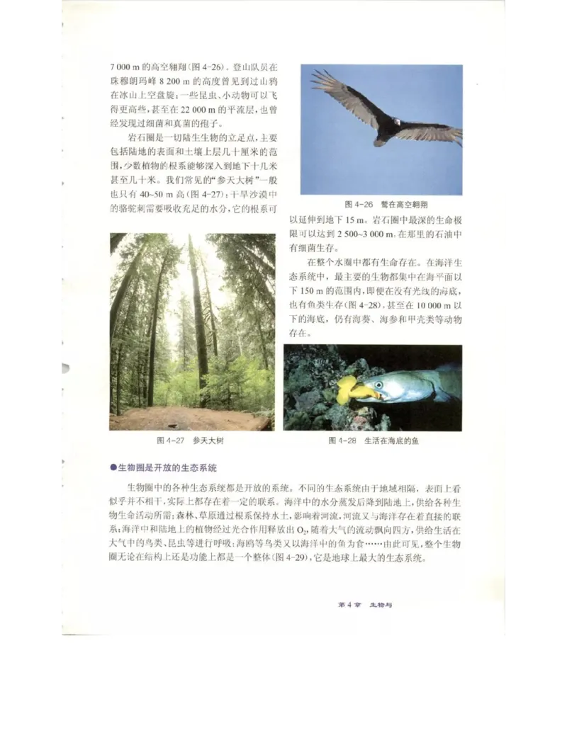 北师大版高中生物必修3电子课本_4-教培资料-26年最新资料-同步更新_初中高中教资_03科三专项（进去保存报考的学科即可）_02科三专项（笔记真题思维导图教学设计版本二）