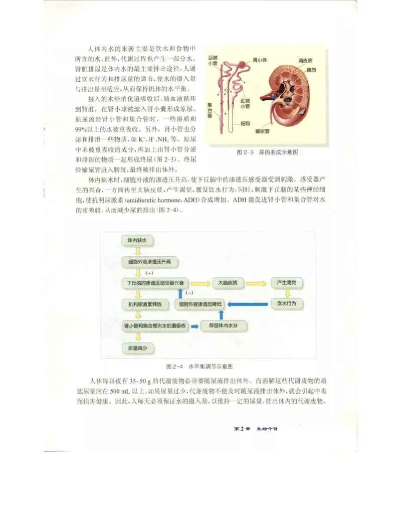 北师大版高中生物必修3电子课本_4-教培资料-26年最新资料-同步更新_初中高中教资_03科三专项（进去保存报考的学科即可）_02科三专项（笔记真题思维导图教学设计版本二）