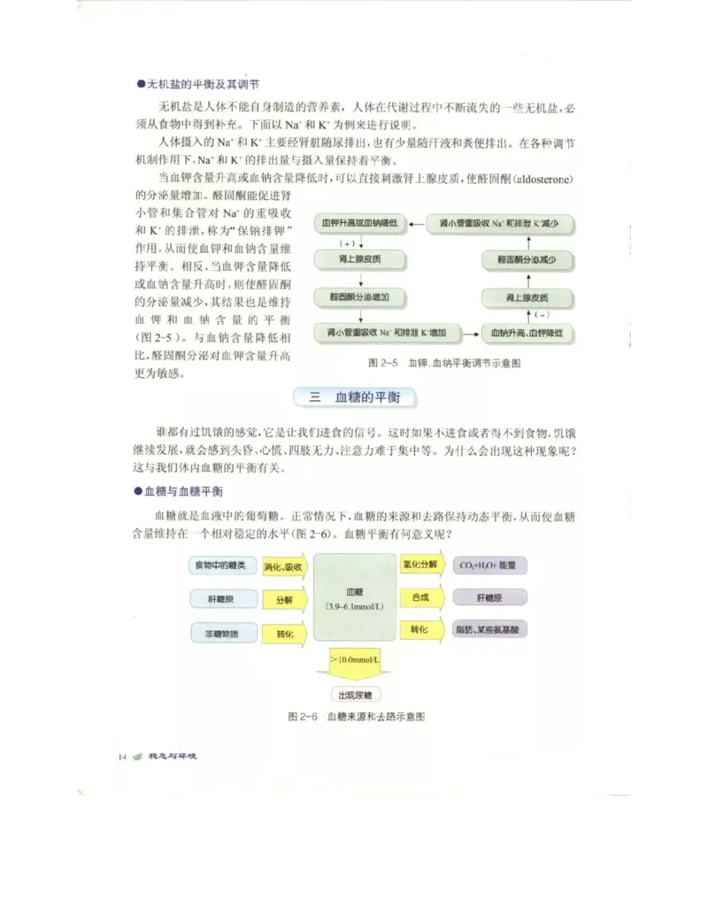北师大版高中生物必修3电子课本_4-教培资料-26年最新资料-同步更新_初中高中教资_03科三专项（进去保存报考的学科即可）_02科三专项（笔记真题思维导图教学设计版本二）