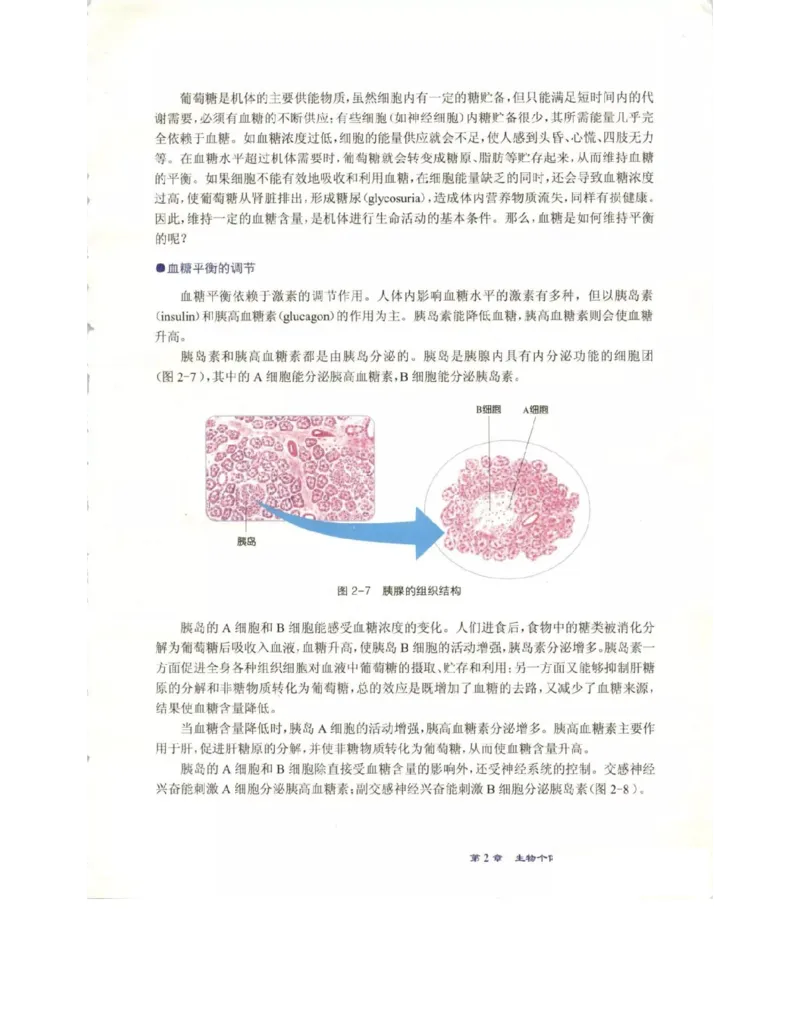 北师大版高中生物必修3电子课本_4-教培资料-26年最新资料-同步更新_初中高中教资_03科三专项（进去保存报考的学科即可）_02科三专项（笔记真题思维导图教学设计版本二）