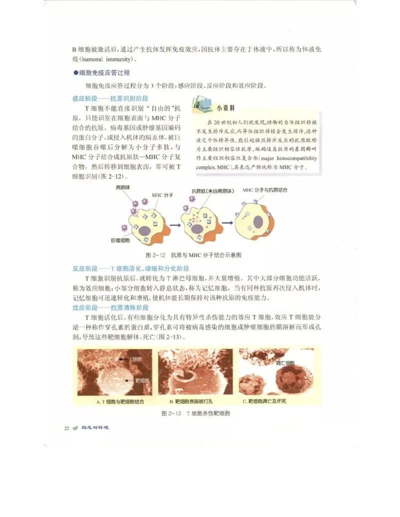 北师大版高中生物必修3电子课本_4-教培资料-26年最新资料-同步更新_初中高中教资_03科三专项（进去保存报考的学科即可）_02科三专项（笔记真题思维导图教学设计版本二）
