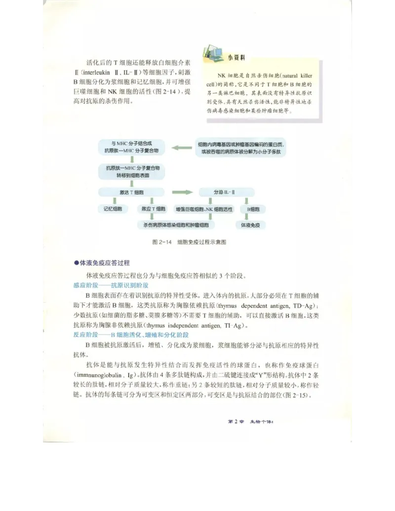 北师大版高中生物必修3电子课本_4-教培资料-26年最新资料-同步更新_初中高中教资_03科三专项（进去保存报考的学科即可）_02科三专项（笔记真题思维导图教学设计版本二）