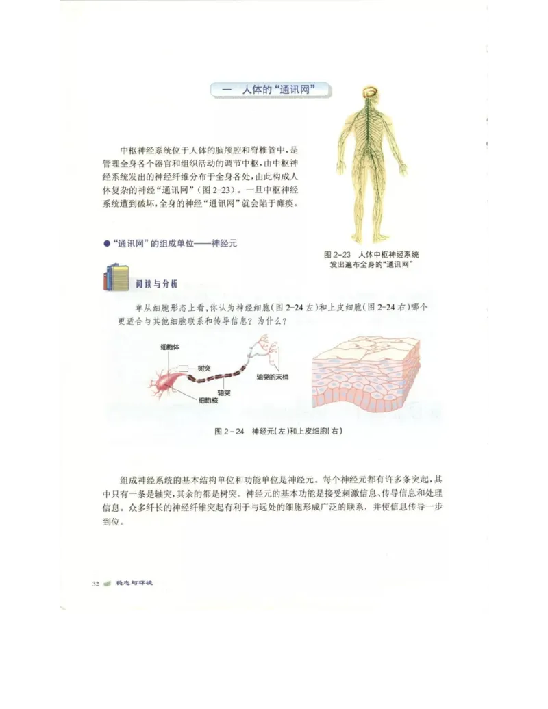北师大版高中生物必修3电子课本_4-教培资料-26年最新资料-同步更新_初中高中教资_03科三专项（进去保存报考的学科即可）_02科三专项（笔记真题思维导图教学设计版本二）