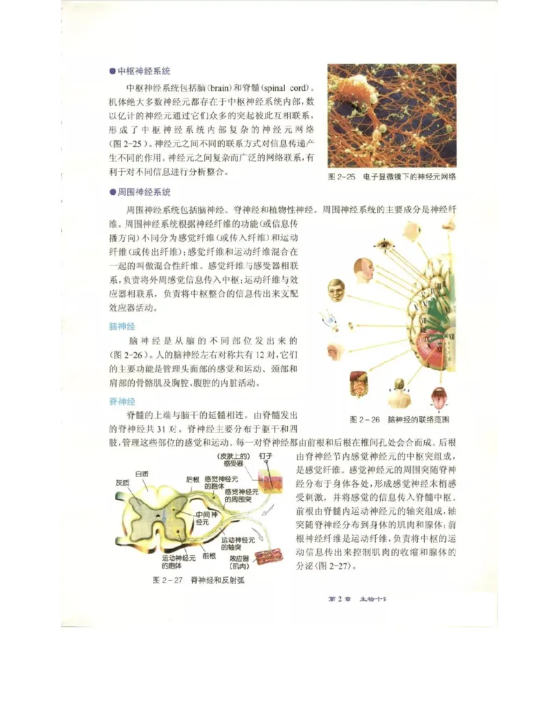 北师大版高中生物必修3电子课本_4-教培资料-26年最新资料-同步更新_初中高中教资_03科三专项（进去保存报考的学科即可）_02科三专项（笔记真题思维导图教学设计版本二）