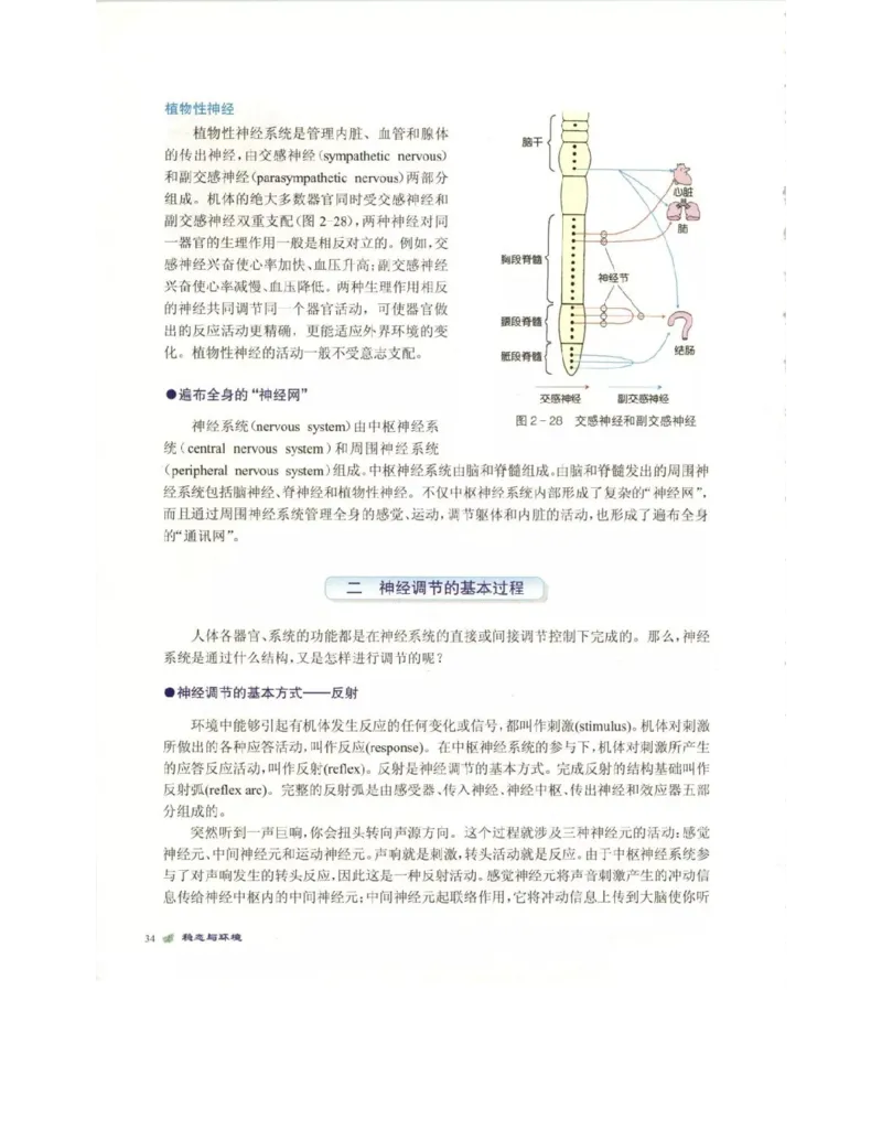 北师大版高中生物必修3电子课本_4-教培资料-26年最新资料-同步更新_初中高中教资_03科三专项（进去保存报考的学科即可）_02科三专项（笔记真题思维导图教学设计版本二）