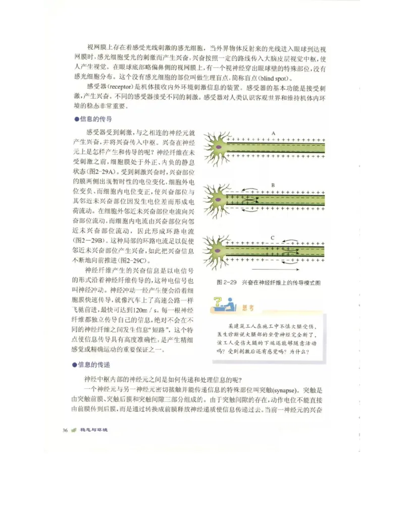 北师大版高中生物必修3电子课本_4-教培资料-26年最新资料-同步更新_初中高中教资_03科三专项（进去保存报考的学科即可）_02科三专项（笔记真题思维导图教学设计版本二）