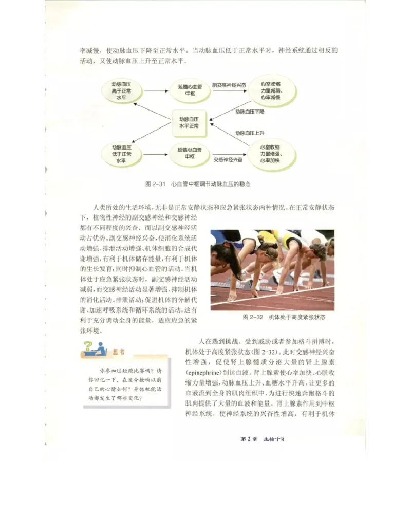 北师大版高中生物必修3电子课本_4-教培资料-26年最新资料-同步更新_初中高中教资_03科三专项（进去保存报考的学科即可）_02科三专项（笔记真题思维导图教学设计版本二）