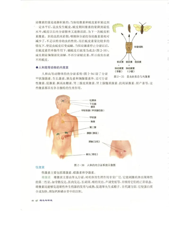 北师大版高中生物必修3电子课本_4-教培资料-26年最新资料-同步更新_初中高中教资_03科三专项（进去保存报考的学科即可）_02科三专项（笔记真题思维导图教学设计版本二）