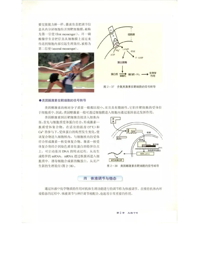北师大版高中生物必修3电子课本_4-教培资料-26年最新资料-同步更新_初中高中教资_03科三专项（进去保存报考的学科即可）_02科三专项（笔记真题思维导图教学设计版本二）