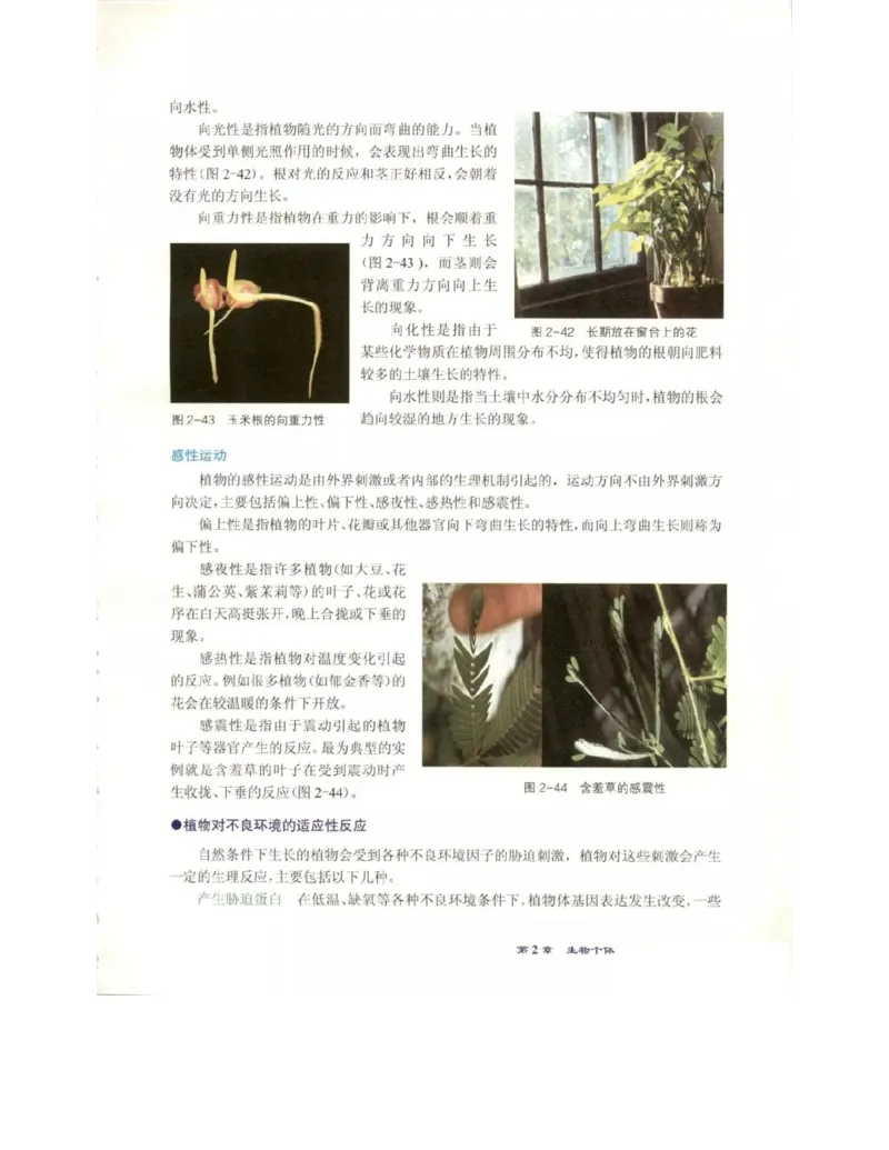 北师大版高中生物必修3电子课本_4-教培资料-26年最新资料-同步更新_初中高中教资_03科三专项（进去保存报考的学科即可）_02科三专项（笔记真题思维导图教学设计版本二）
