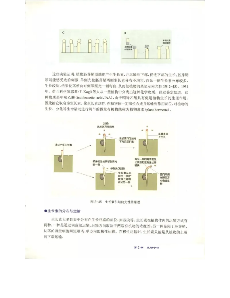 北师大版高中生物必修3电子课本_4-教培资料-26年最新资料-同步更新_初中高中教资_03科三专项（进去保存报考的学科即可）_02科三专项（笔记真题思维导图教学设计版本二）