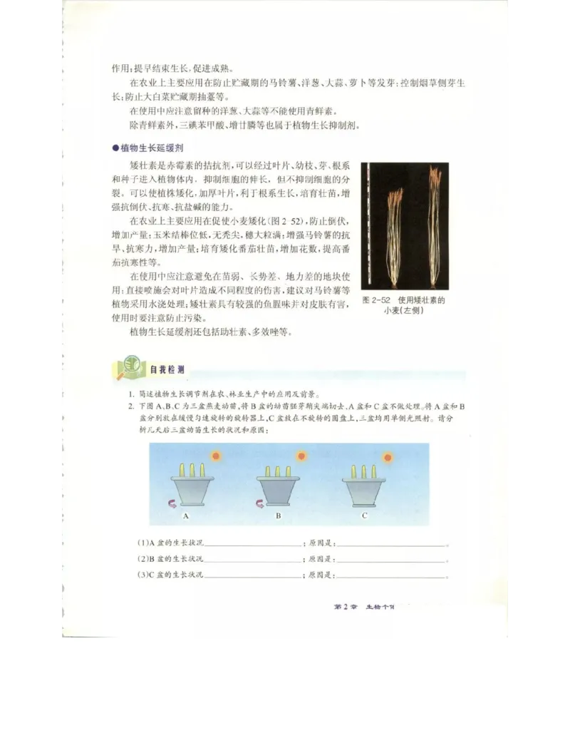 北师大版高中生物必修3电子课本_4-教培资料-26年最新资料-同步更新_初中高中教资_03科三专项（进去保存报考的学科即可）_02科三专项（笔记真题思维导图教学设计版本二）