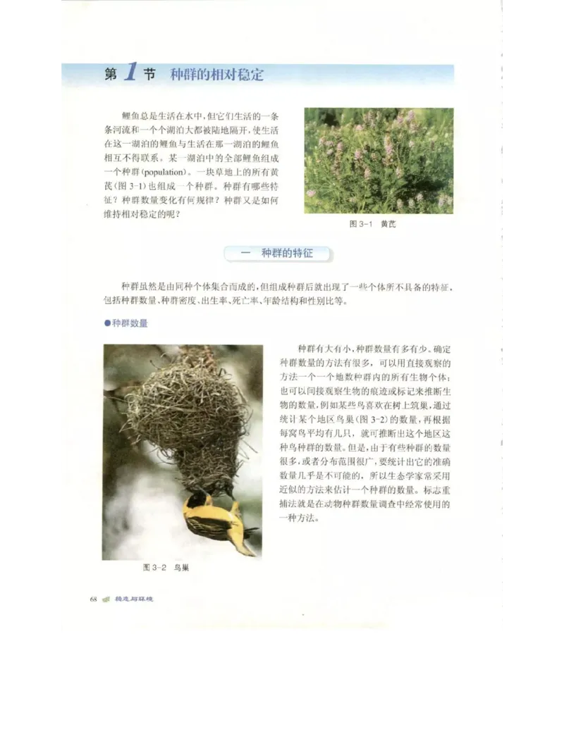 北师大版高中生物必修3电子课本_4-教培资料-26年最新资料-同步更新_初中高中教资_03科三专项（进去保存报考的学科即可）_02科三专项（笔记真题思维导图教学设计版本二）