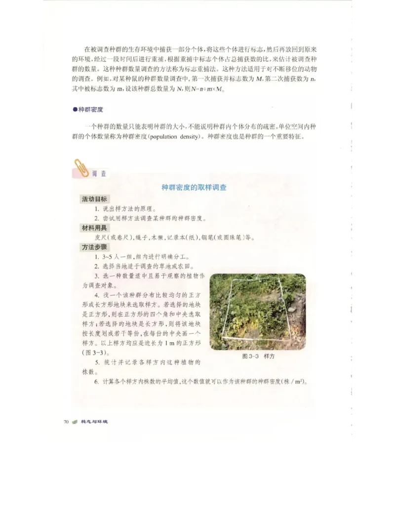 北师大版高中生物必修3电子课本_4-教培资料-26年最新资料-同步更新_初中高中教资_03科三专项（进去保存报考的学科即可）_02科三专项（笔记真题思维导图教学设计版本二）