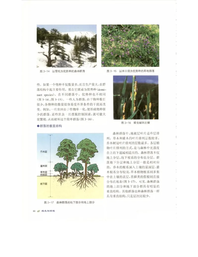 北师大版高中生物必修3电子课本_4-教培资料-26年最新资料-同步更新_初中高中教资_03科三专项（进去保存报考的学科即可）_02科三专项（笔记真题思维导图教学设计版本二）