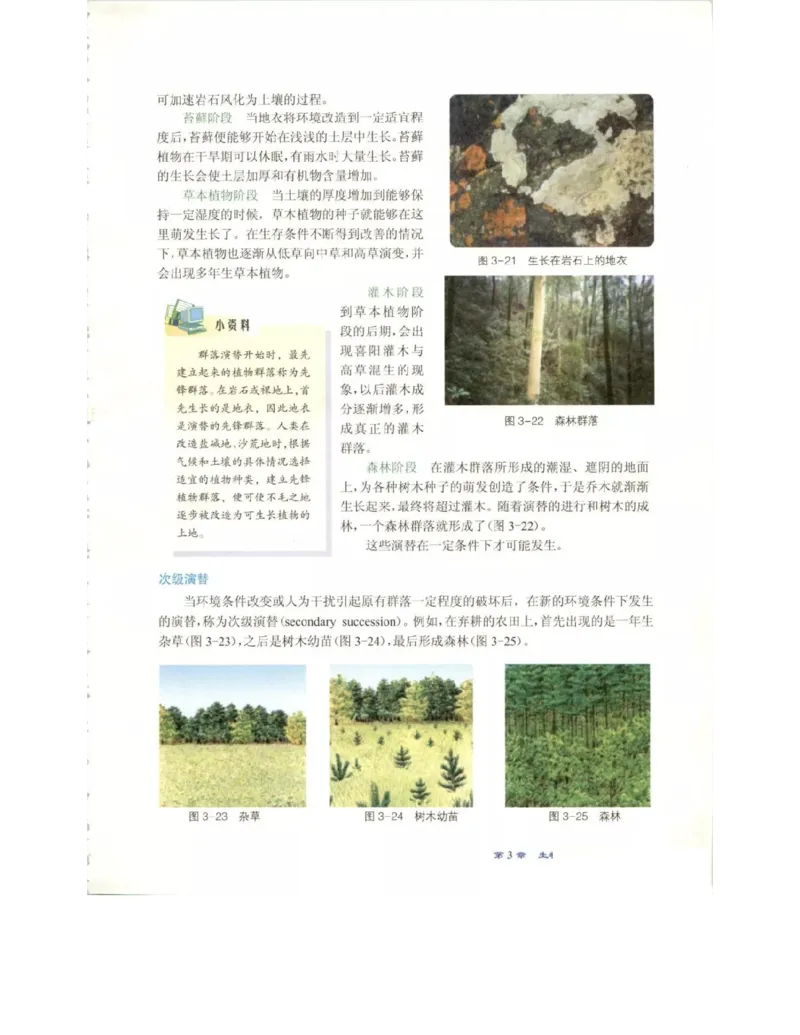 北师大版高中生物必修3电子课本_4-教培资料-26年最新资料-同步更新_初中高中教资_03科三专项（进去保存报考的学科即可）_02科三专项（笔记真题思维导图教学设计版本二）
