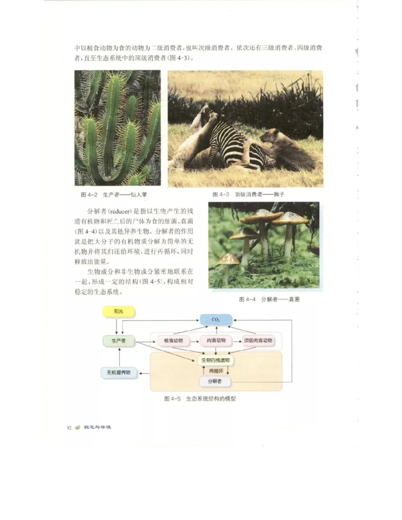 北师大版高中生物必修3电子课本_4-教培资料-26年最新资料-同步更新_初中高中教资_03科三专项（进去保存报考的学科即可）_02科三专项（笔记真题思维导图教学设计版本二）