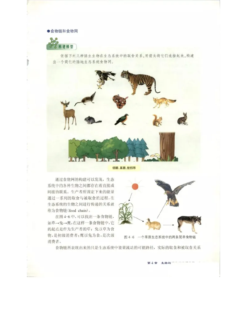 北师大版高中生物必修3电子课本_4-教培资料-26年最新资料-同步更新_初中高中教资_03科三专项（进去保存报考的学科即可）_02科三专项（笔记真题思维导图教学设计版本二）