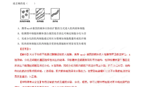 2013年高考生物试卷（山东）（解析卷）_1.高考2025全国各省真题+答案_01.2008-2024全国高考真题（按省份分类）_15.山东_2008-2024&middot;（山东）生物高考真题