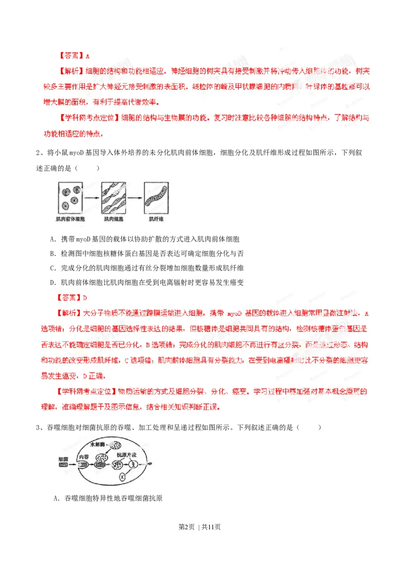 2013年高考生物试卷（山东）（解析卷）_1.高考2025全国各省真题+答案_01.2008-2024全国高考真题（按省份分类）_15.山东_2008-2024&middot;（山东）生物高考真题