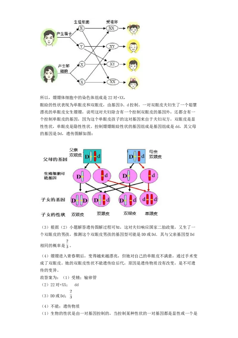 2019年山东省枣庄市中考生物试卷真题（含解析）_中考真题_8.生物中考真题2015-2024年_地区卷_山东省_枣庄生物10-22缺20